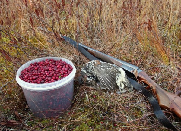 Охотник осенью