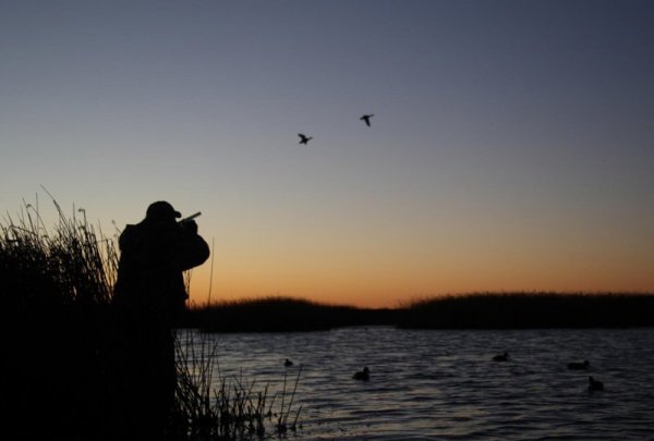 Охотник на уток