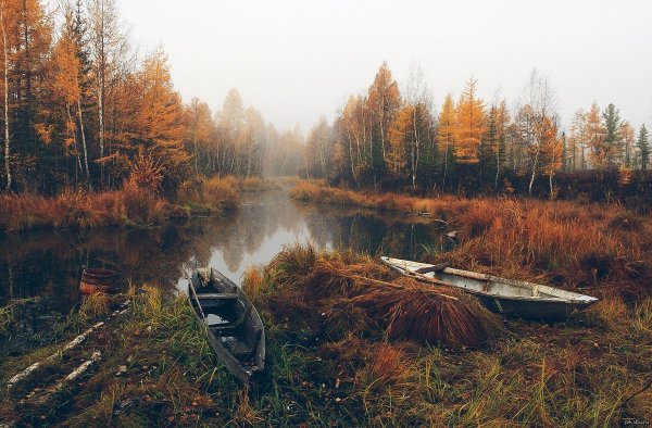 Охотничьи пейзажи