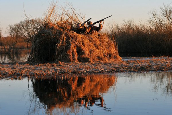 Весенняя охота на селезня