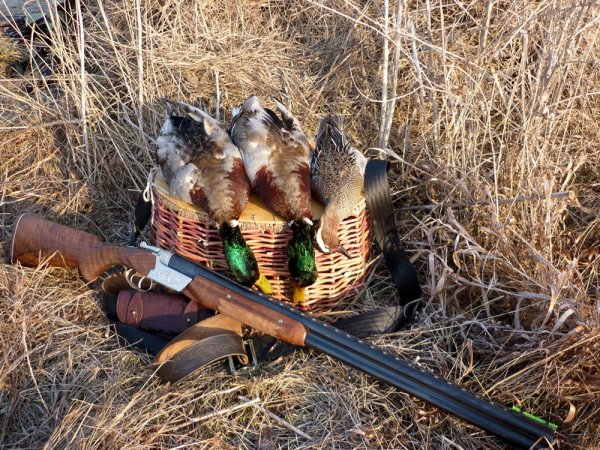 Весенняя охота на утку с подсадной