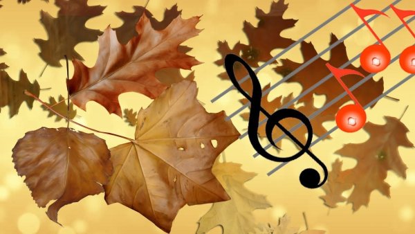 Осенние нотки