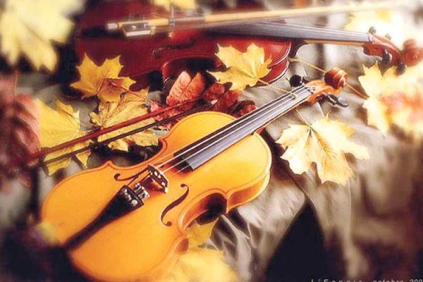 Музыкальный листопад