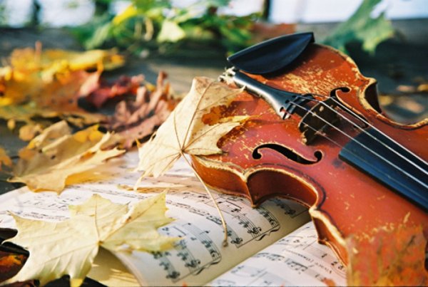 Скрипка в осенней листве