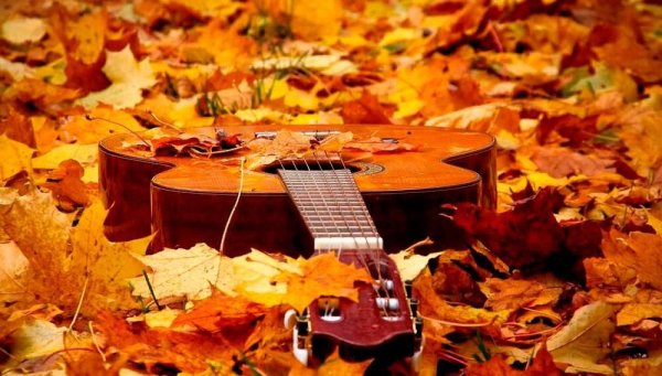 Гитара в осенних листьях