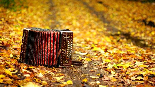 Гармонь фон