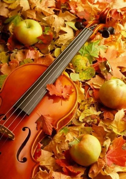 Скрипка осень