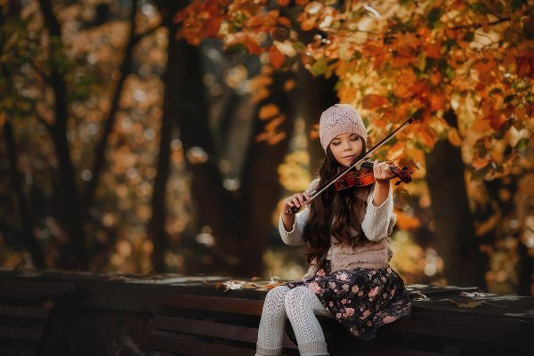 Скрипка осень