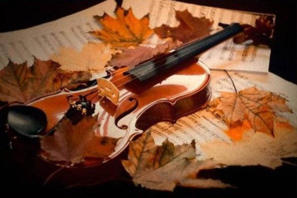 Скрипка осень