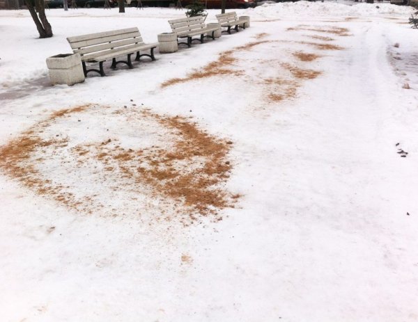 Дорожка посыпанная песком