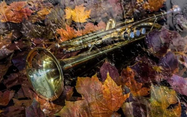 Пластинка осень