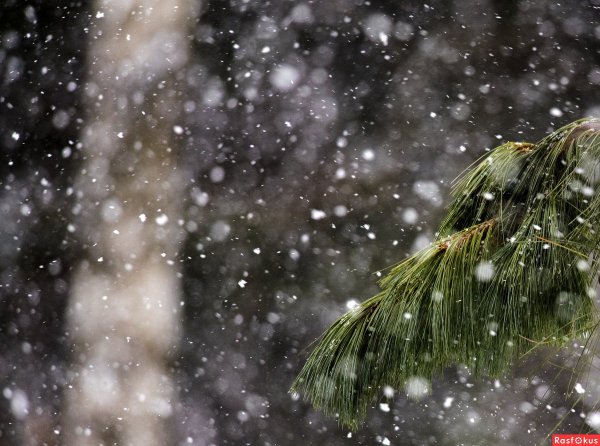 Падает падает снег