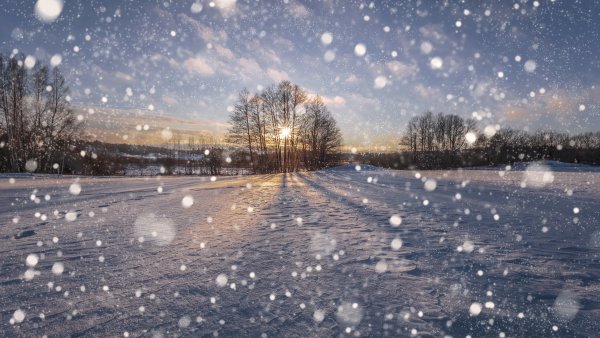 Падающий снег