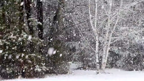 Снег идет gif