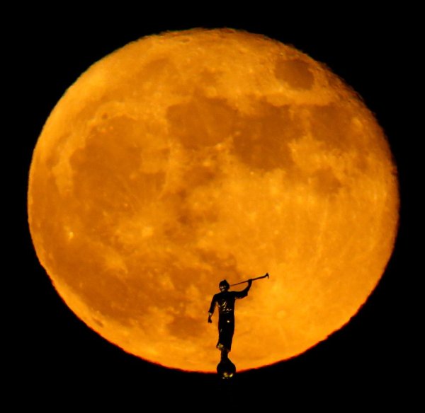 Золотая Луна Золотая Луна