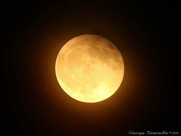 Луна желтая большая