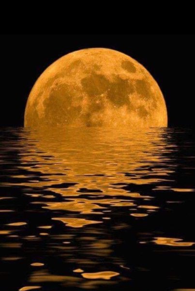 Золотое полнолуние