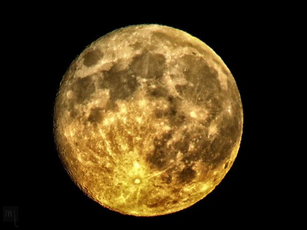 Лунное золото