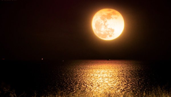 Лунное золото