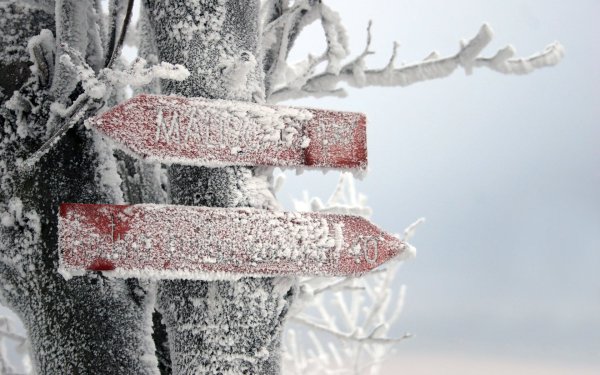 Креативная зима