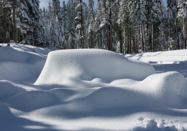 Красивые сугробы