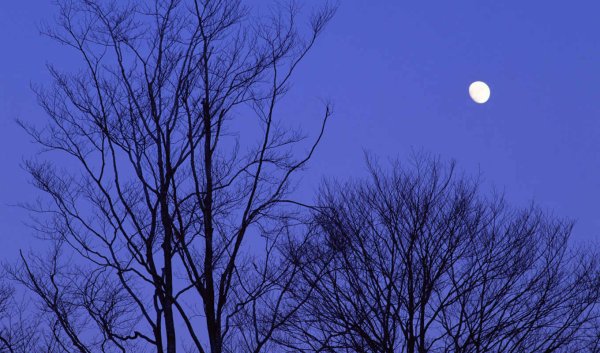 Весенняя Луна