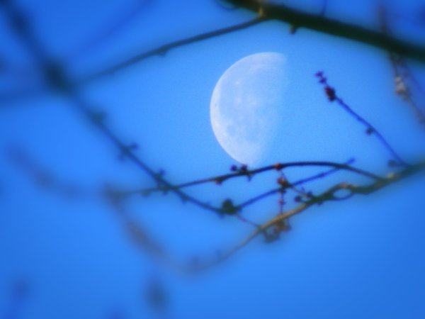 Весенняя Луна