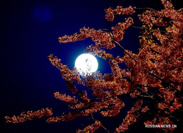 Весеннее полнолуние