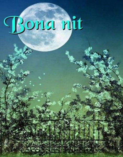 Лунная ночь в саду