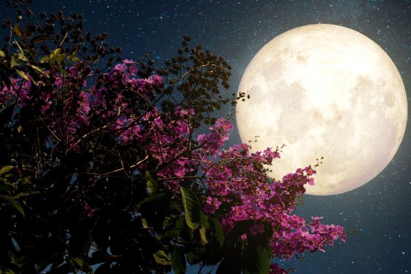 Красивая Луна