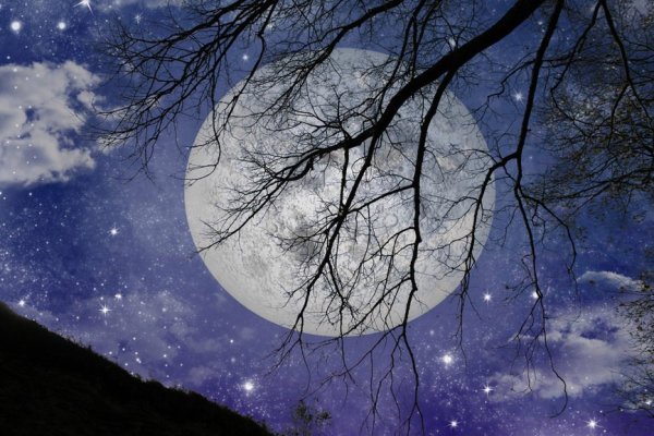 Была чудесная ночь и полная Луна