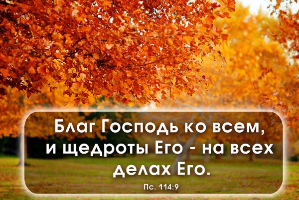 Христианские стихи на Жатву