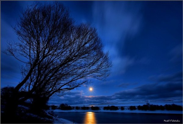Лунная ночь весной
