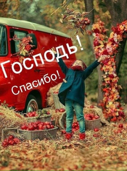 Жизнь чудесна