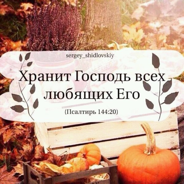 Золотые стихи из Библии