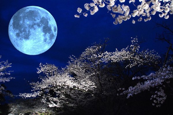 Лунная ночь Япония