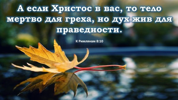 Христианские стихи из Библии