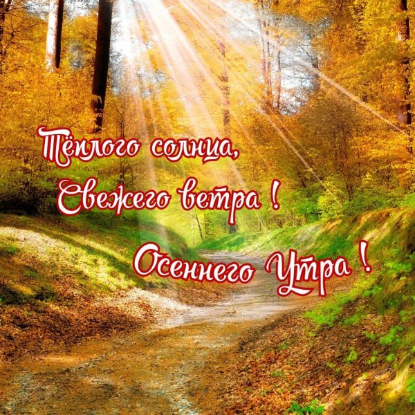 Доброе чудесное осеннее утро