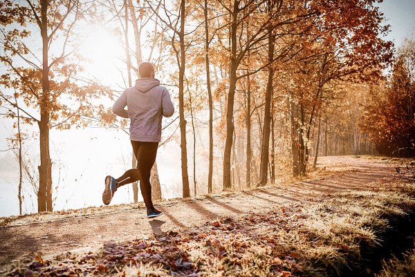 Прогулка в осеннем парке