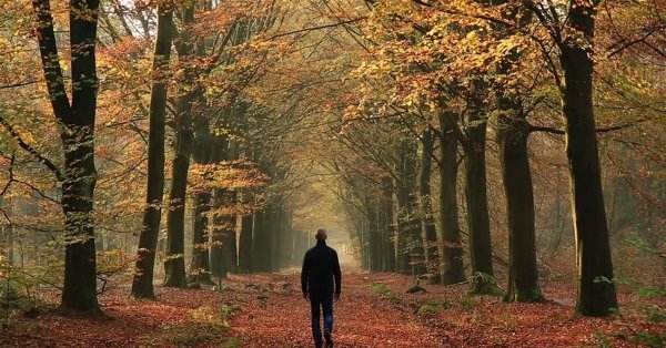 Люди в осеннем парке