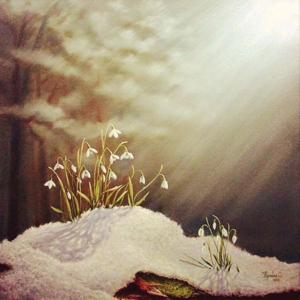 Подснежники в снегу живопись