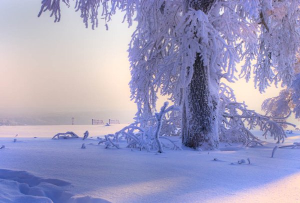 Снежок посреди чужого жара фотосайт