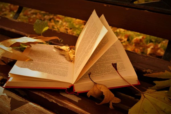 Книги про осень