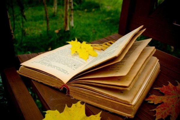 Книжки про осень
