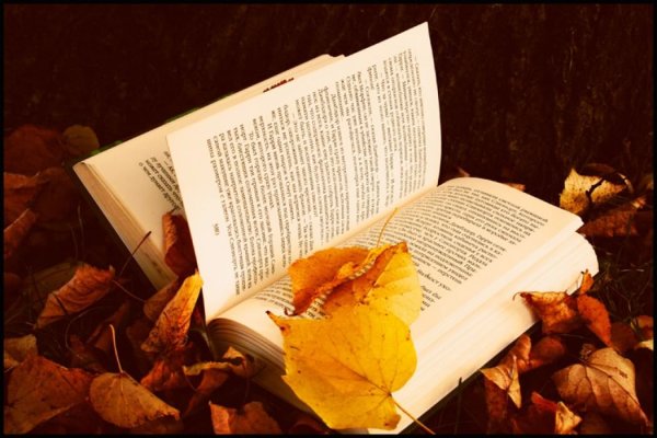 Осень в литературе