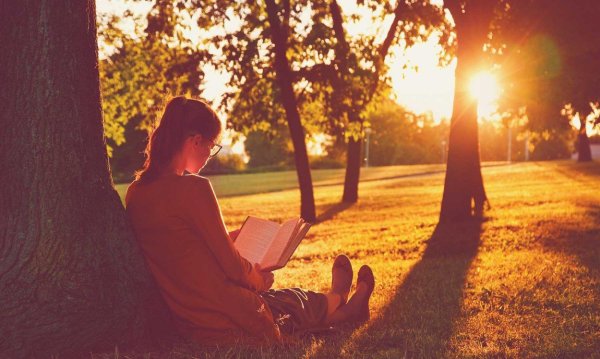 Девушка с книжкой в парке