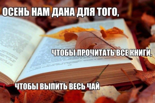Цитаты про осень и книги