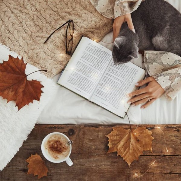 Осеннее чтение