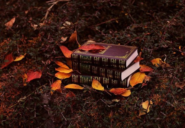 Осень Эстетика сентябрь