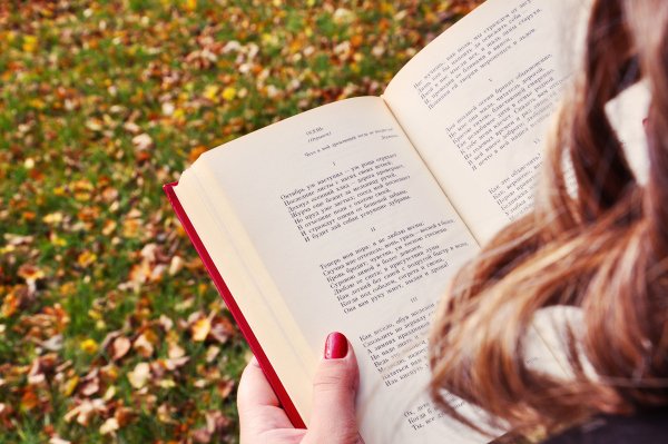 Девушка с книгой осень